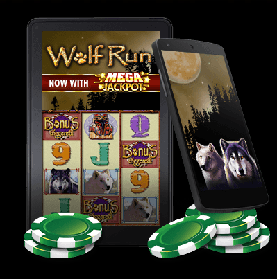 Wolf Run